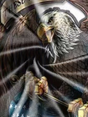 Men's Vintage Eagle & American Flag Graphic T shirt & Shorts