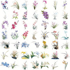 Set of 50 Vinyl Orchid Stickers for Scrapbooking Diaries Cartoon Designs