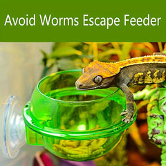 Reptile Suction Cup Feeder Bowl for Crickets Geckos