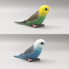 Mini Budgie Parrot Set Realistic PVC Bird Figurines Colorful Desk Ornaments