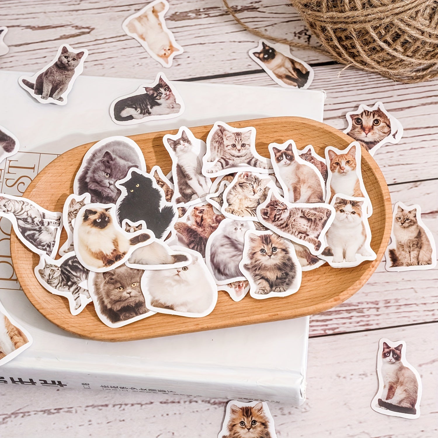 45pcs Cat Selfie Decorative Stickers for Diary Journal Planner Scrapbooking