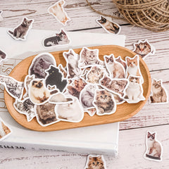 45pcs Cat Selfie Decorative Stickers for Diary Journal Planner Scrapbooking