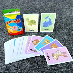 Visual Word Flashcards Set - Letters, Animals, Fruits, Colors, Body Parts