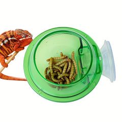 Reptile Suction Cup Feeder Bowl for Crickets Geckos