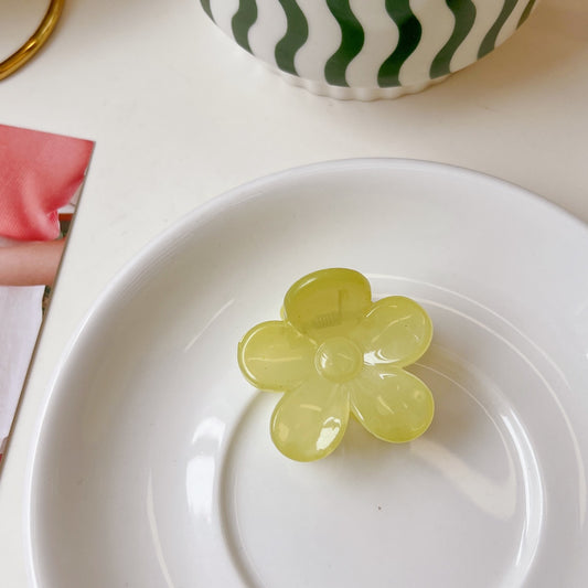 Daisy Hair Clips Translucent Hair Claw Acrylic Hair Clip