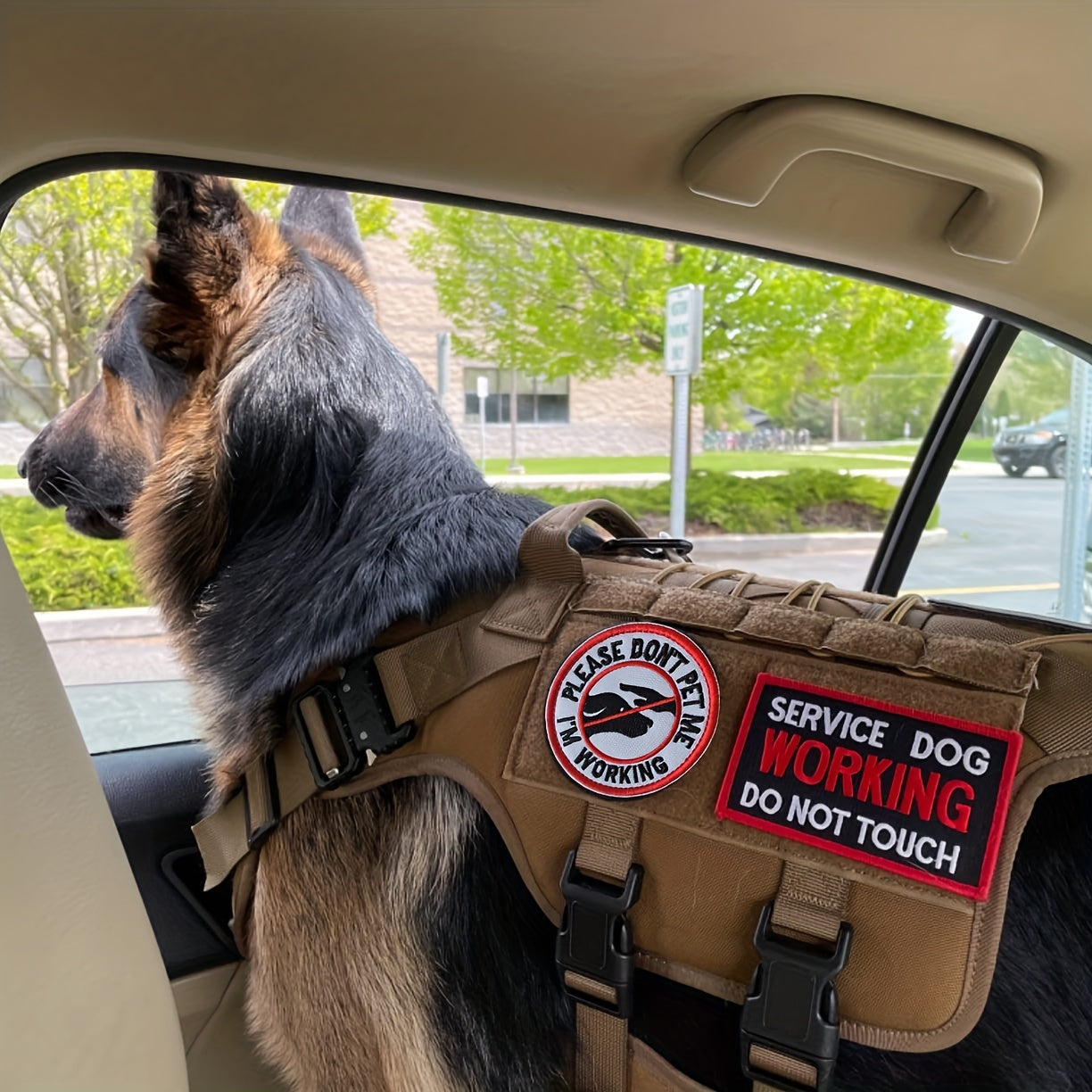 J CARP 10Pcs Service Dog Patches for Men Tactical Pet Training Fasten