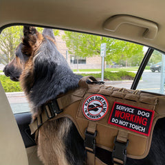 J CARP 10Pcs Service Dog Patches for Men Tactical Pet Training Fasten