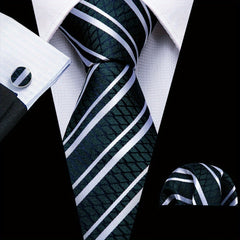 Barry Wang Green Silk Tie Set - Formal & Casual Business