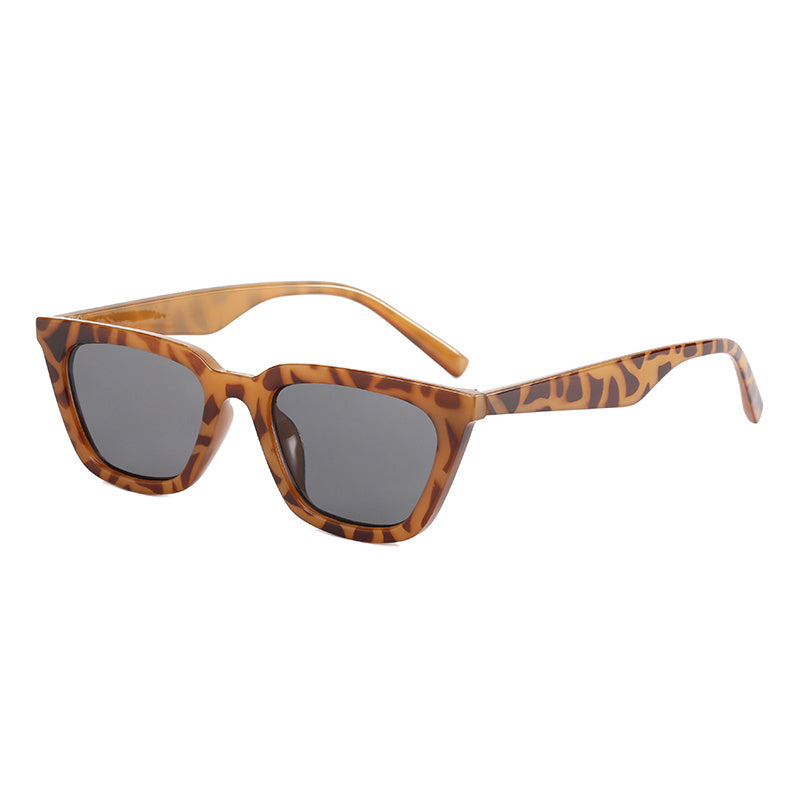 Men's Small Frame Sunglasses Ink Glasses With Zipper Box