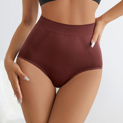 Comfy High Waist Stretchy Panties Women's Lingerie