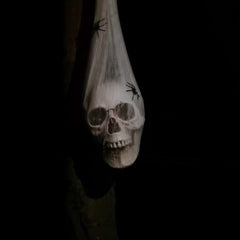 LED Skull Ornament with Red Eye and Spider - Halloween Decoration