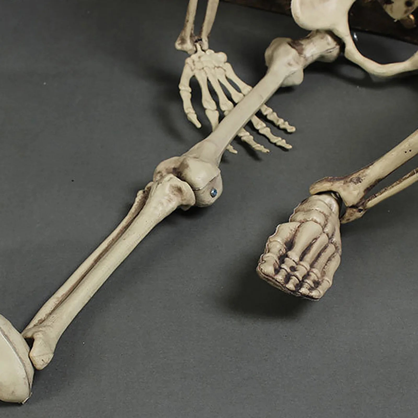 img_250298