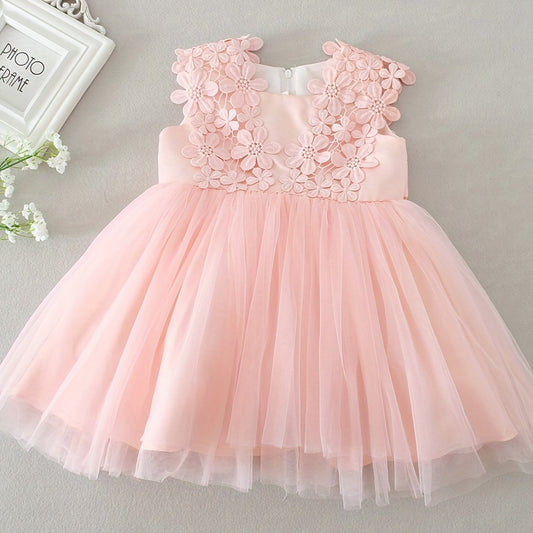 Baby Girls Floral Embroidered Princess Dress