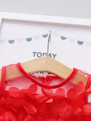 Flower Fairy Baby Girl's Party Dresses Mesh Princess Dress