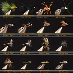 64pcs Fly Fishing Flies Kit Dry Wet Flies Baits Waterproof Box Fishing Gear