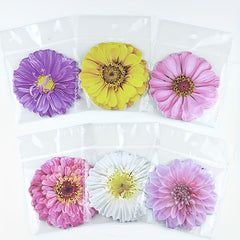 3D Visual Flower Sticky Notes 25 Sheets Pack
