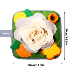 img_5506231