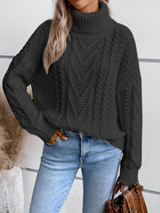 Solid Turtle Neck Pullover Sweater Long Sleeve Casual Winter Women's Clothing