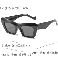 Cat Eye Wide Temple Hip Hop Sunglasses