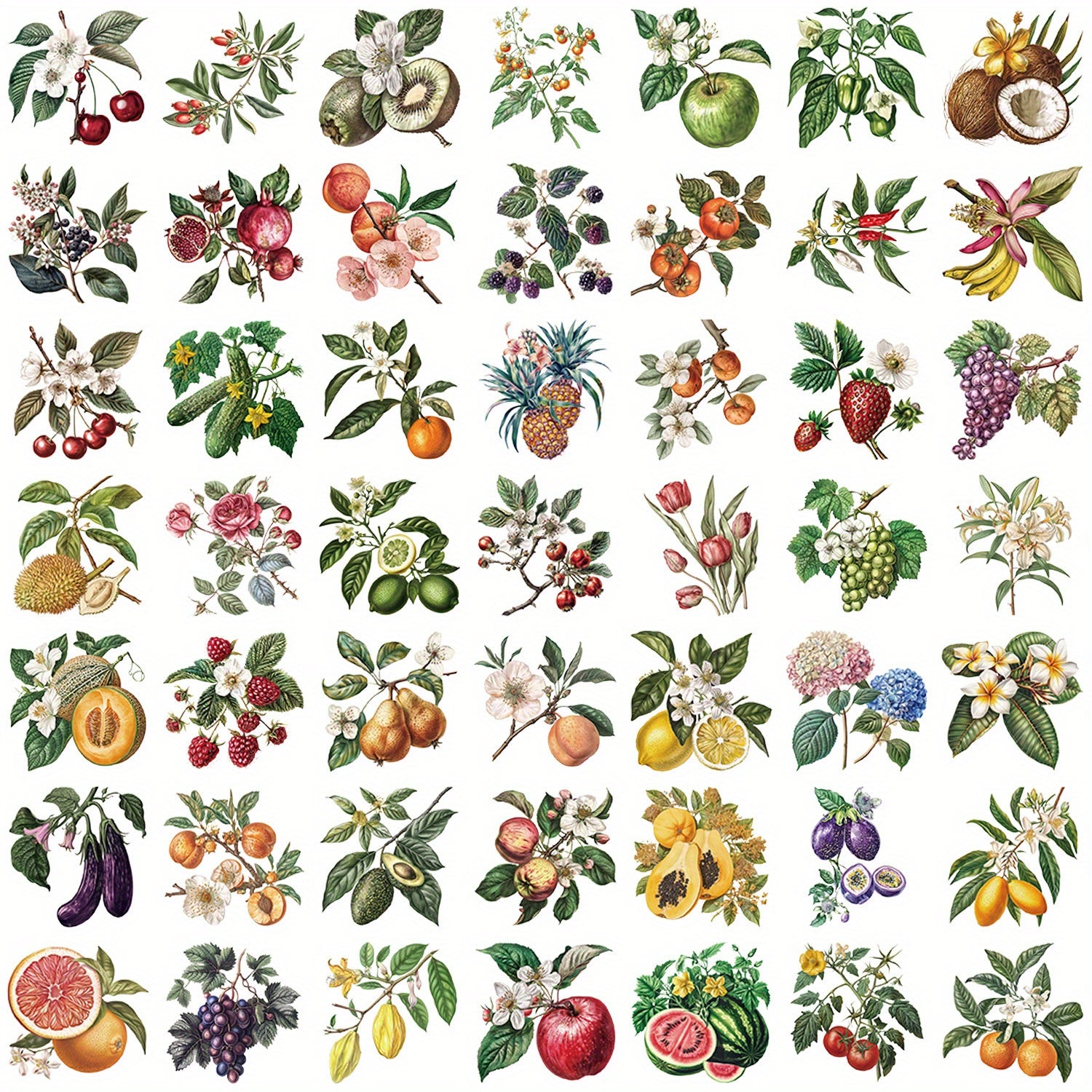 50pcs Vintage Plant & Fruit Stickers for DIY Luggage Party Food Labels