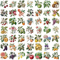 50pcs Vintage Plant & Fruit Stickers for DIY Luggage Party Food Labels