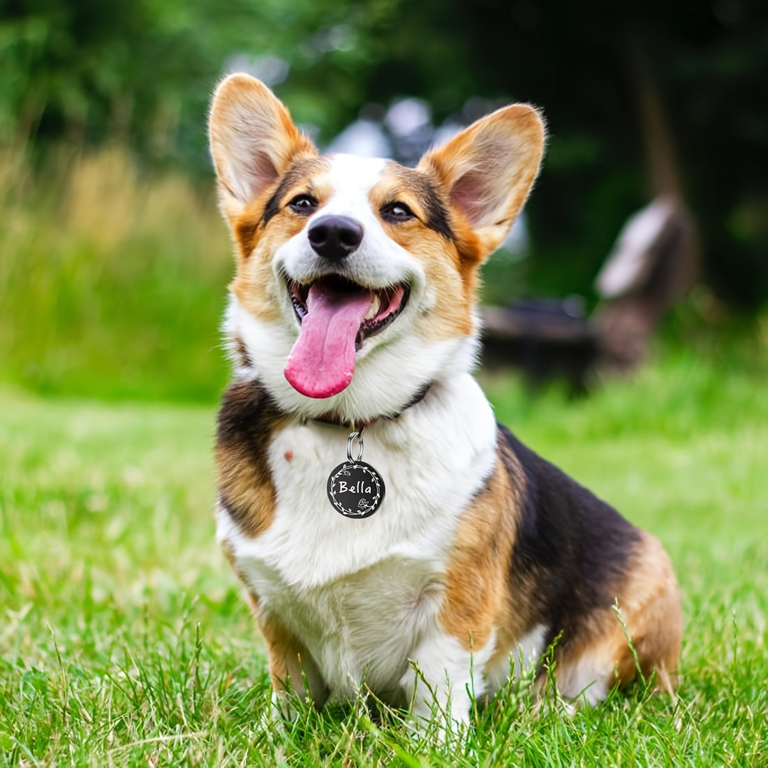 img_5201075