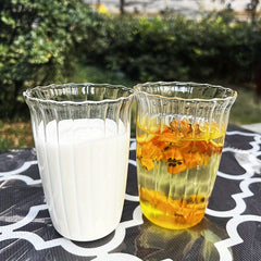 420ml Retro Transparent Glass Water Cup for Outdoor Camping Picnic Travel