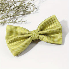 Casual Small Checkered Bow Tie for Men