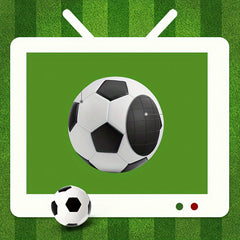 Soft PVC Soccer Ball for Adult Indoor and Outdoor Football Training