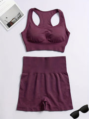 2 Pcs Yoga Set Sports Bra & Shorts Seamless Fitness Activewear