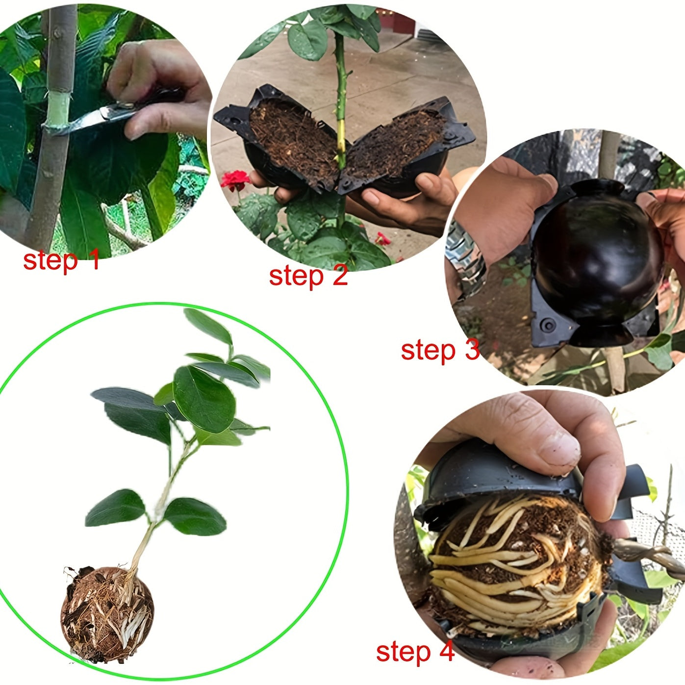 10pcs Tree Root Growing Box High Pressure Grafting Kit
