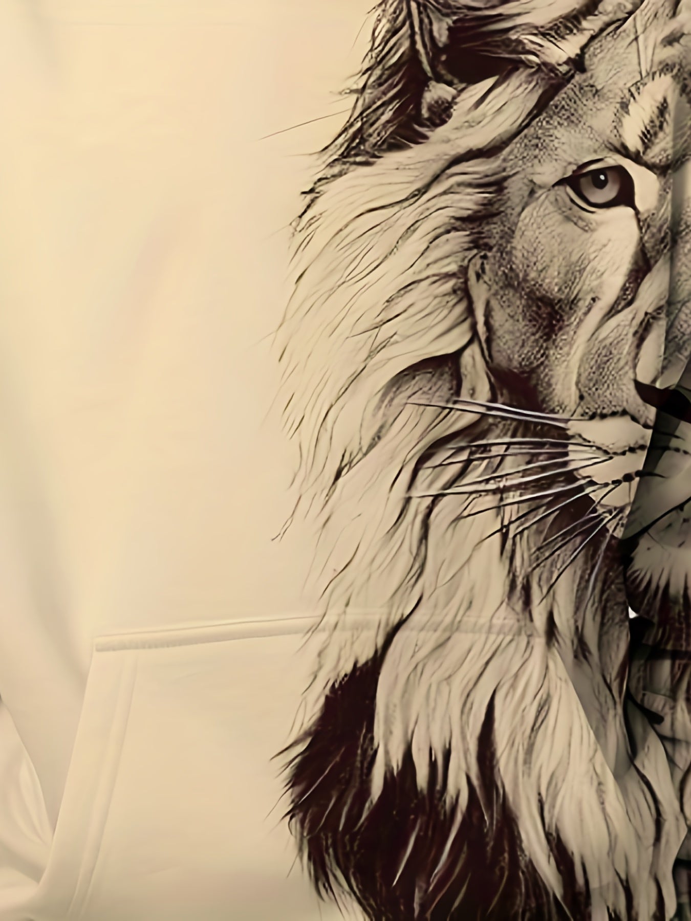 Boys Lion Print Hooded Sweatshirt for Spring Fall