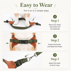 img_5866741