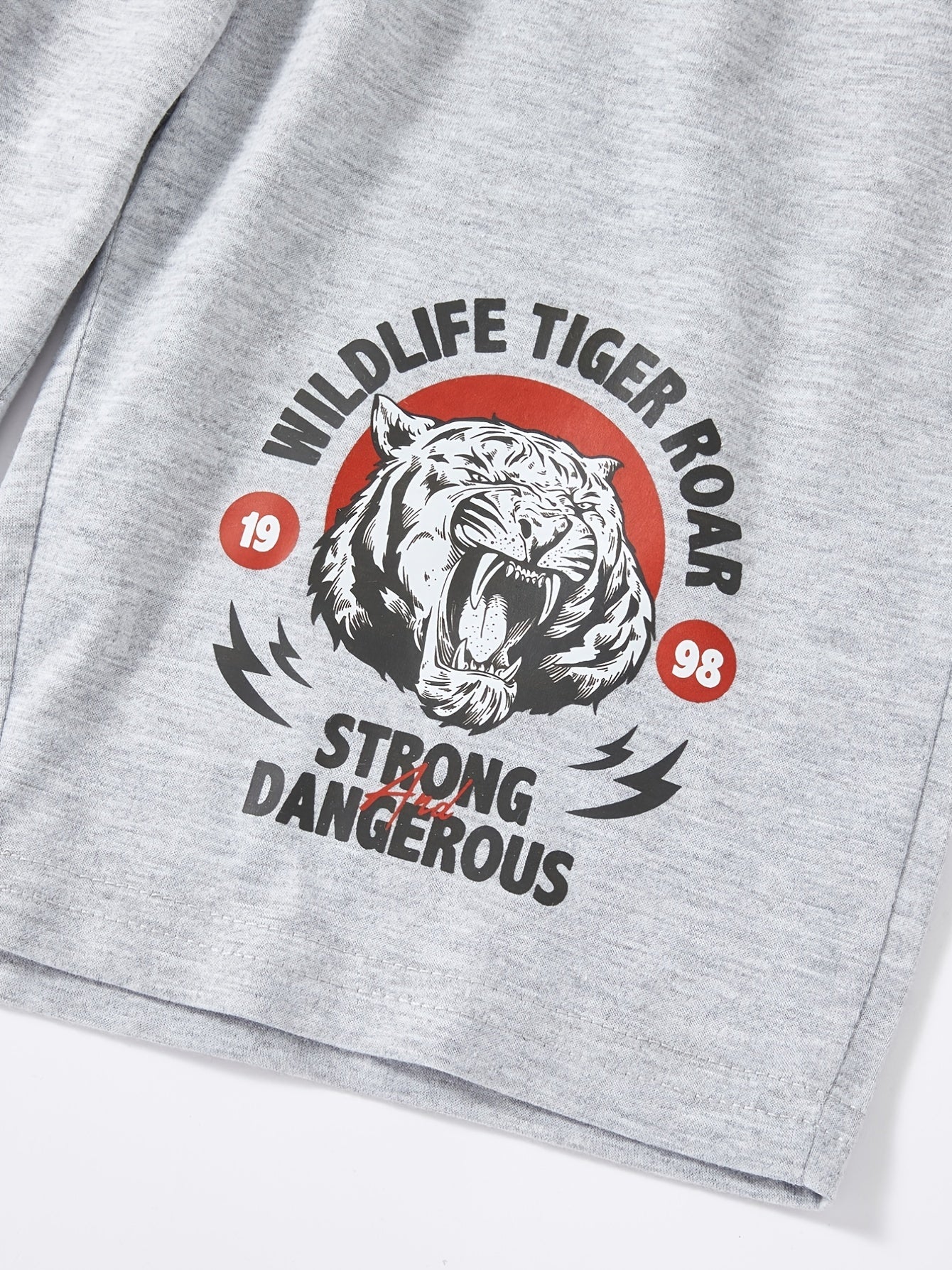 Boys Tiger Print Tee & Shorts Set Kids Clothes
