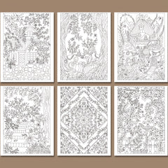 Hidden Garden Adult Coloring Book - Intricate Designs - Relaxing