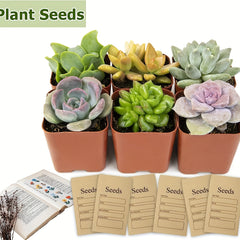 Seed Organizer Storage with 20 Self Sealing Envelopes 200 Pockets