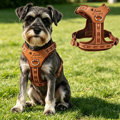 img_5203428