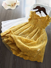 Toddler Girls Mesh Princess Dress Ruffle Trim Back Bow Flowers Embroidery