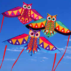 1pc 15m Owl Kite With 50m Line Outdoor Flying