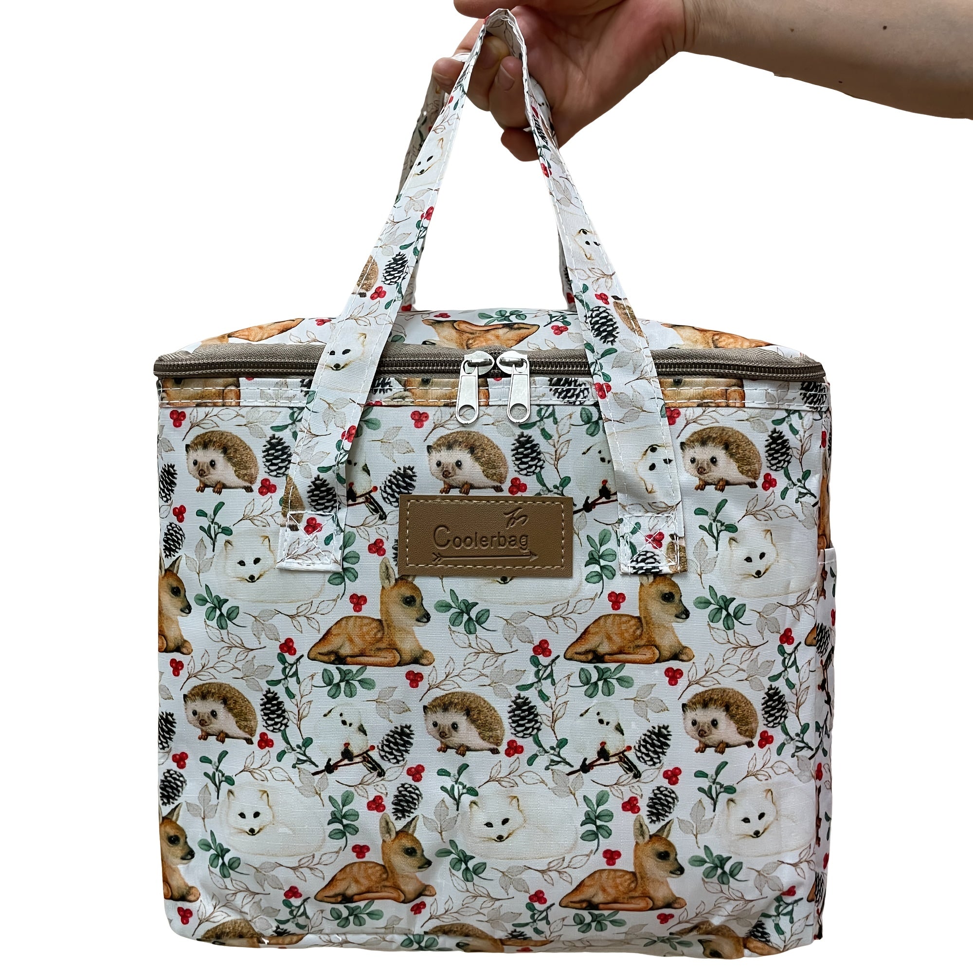 Thermal Lunch Bag for Takeout Food and Outdoor Travel