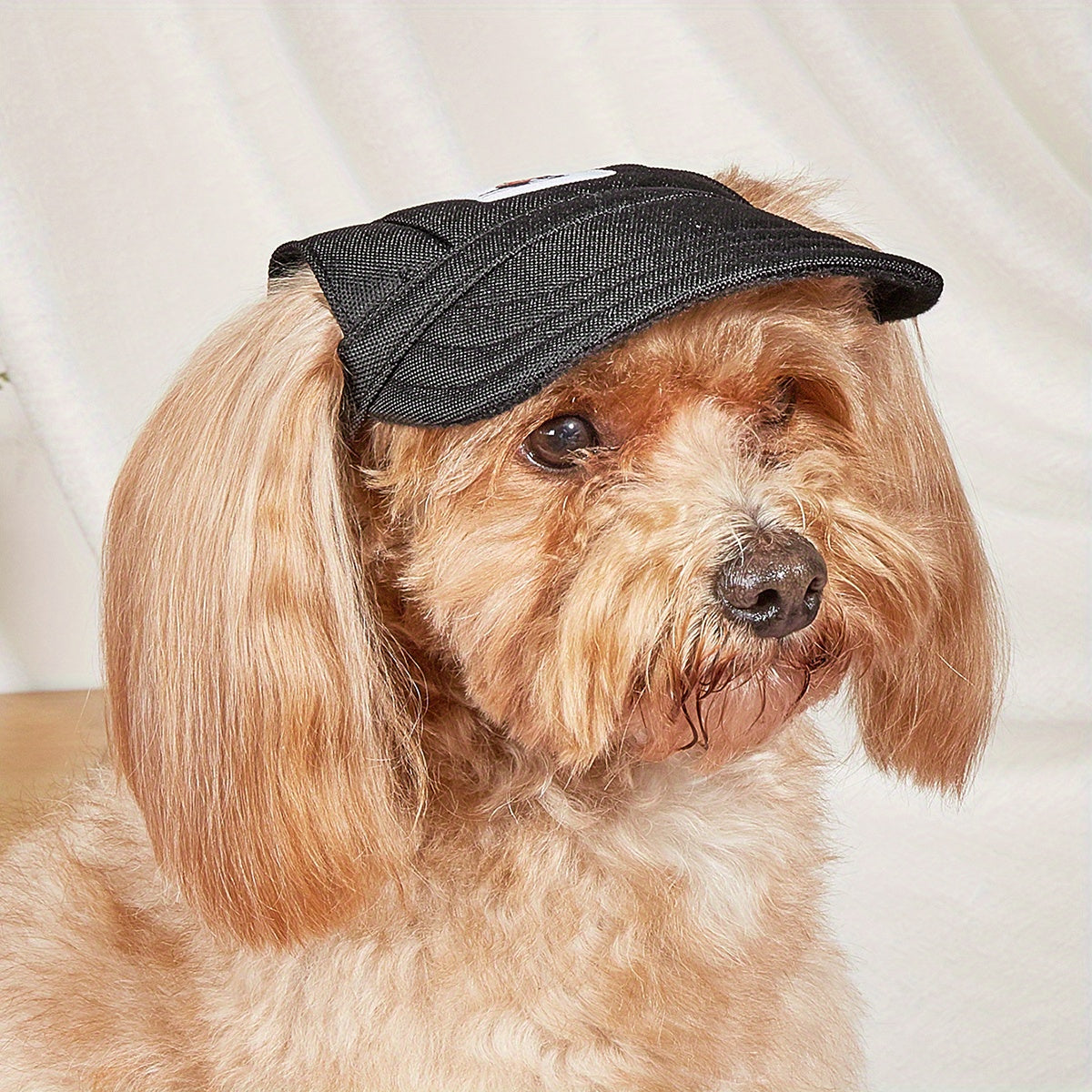 Dog Sun Hat w/ Ear Holes for Summer Outdoor Travel