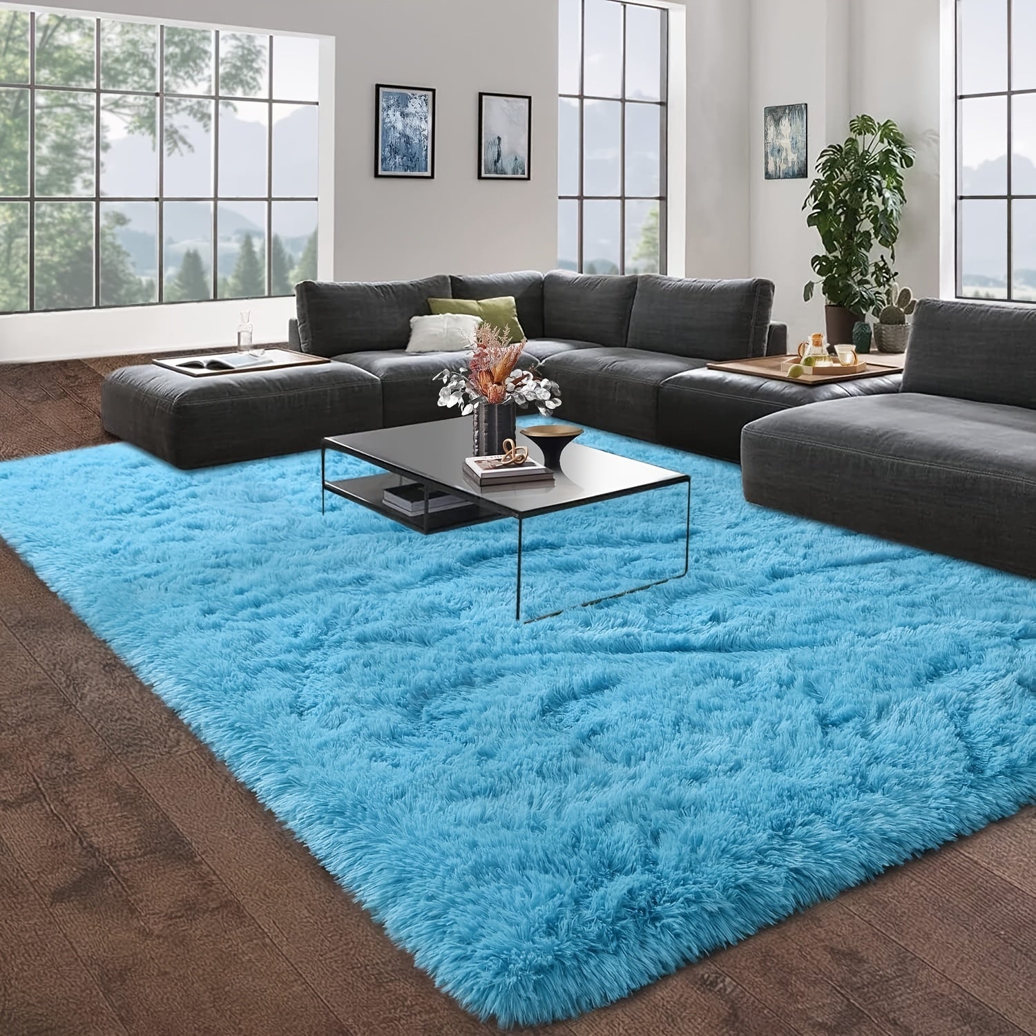 Soft Fluffy Carpet for Bedroom Kitchen Rug Plush Dormitory Room Bedside Small