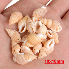 30pcs Sea Conch Shell Beads Cowrie Charm DIY Necklace Bracelet Accessories