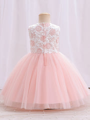 Girls Mesh Flower Embroidered Princess Dress
