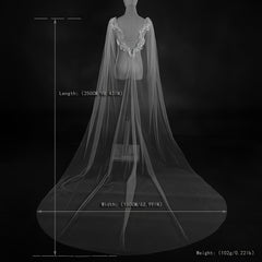Bridal Wedding Veil Capelet Sheer Lace with Lace Trim Flowing Train
