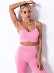 Women's Seamless Fitness Set: Sports Bra & Leggings