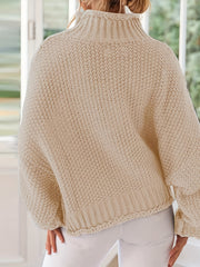 Batwing Sleeve Turtle Neck Sweater Loose Fit Casual Pullover