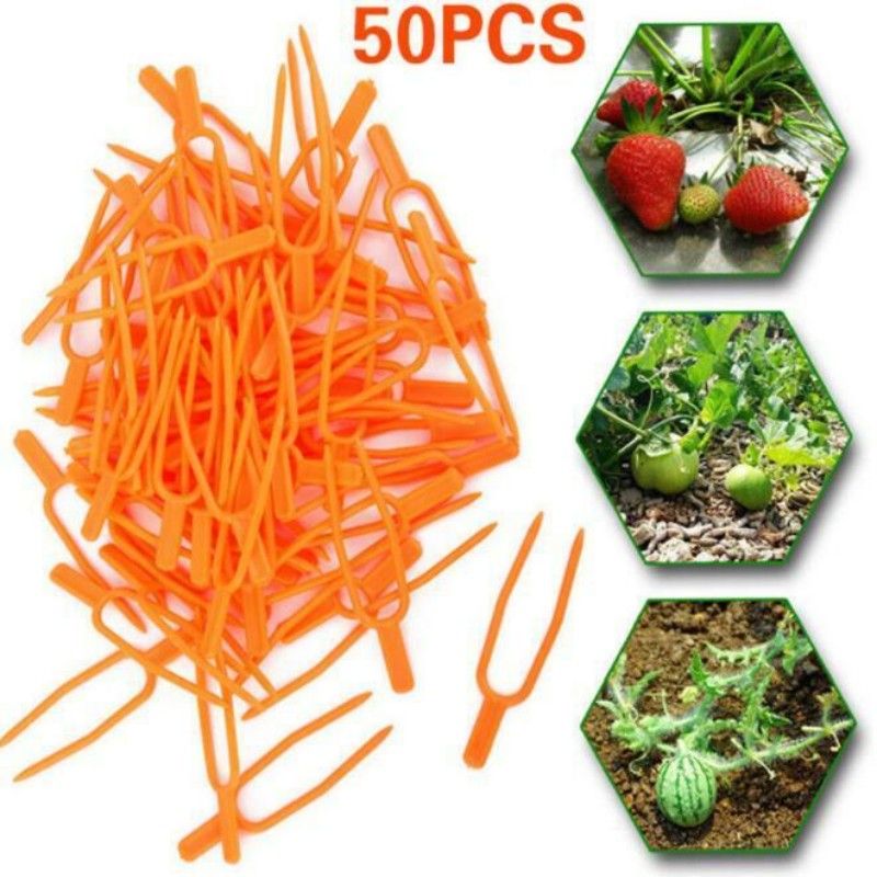 50pcs Farming Clip Plant Fixed Clamps Strawberry Watermelon Fork