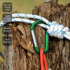 2pcs Carabiners Alloy Keychain Clip Buckle for Camping Hiking Mountaineering