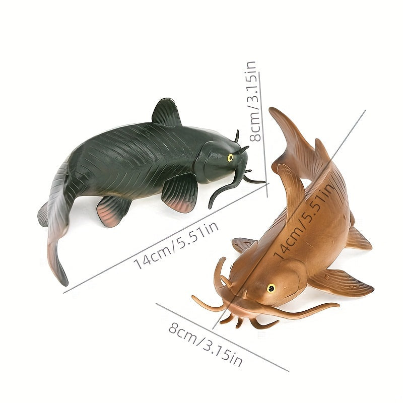 Animal Models Freshwater Fish Catfish Bearded